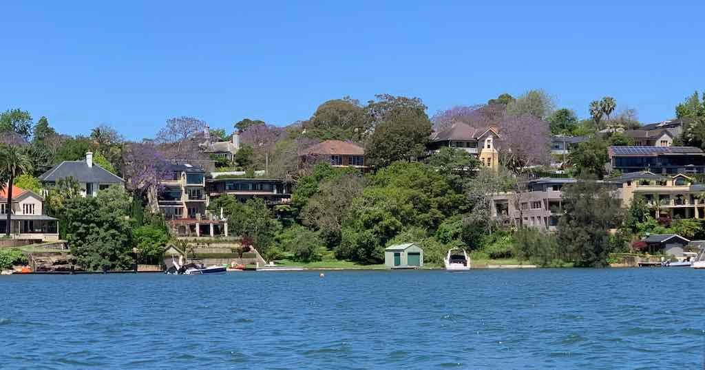 October 2022 Jacaranda Cruise Image -6361c87ad47c8